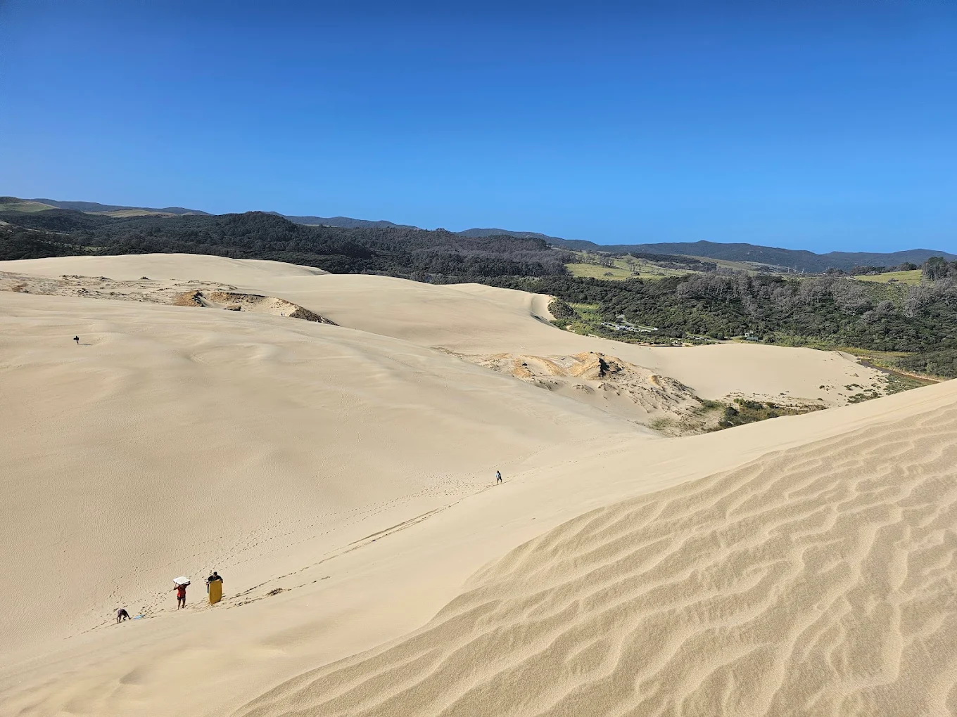 Te Paki Sand Dunes View 2
